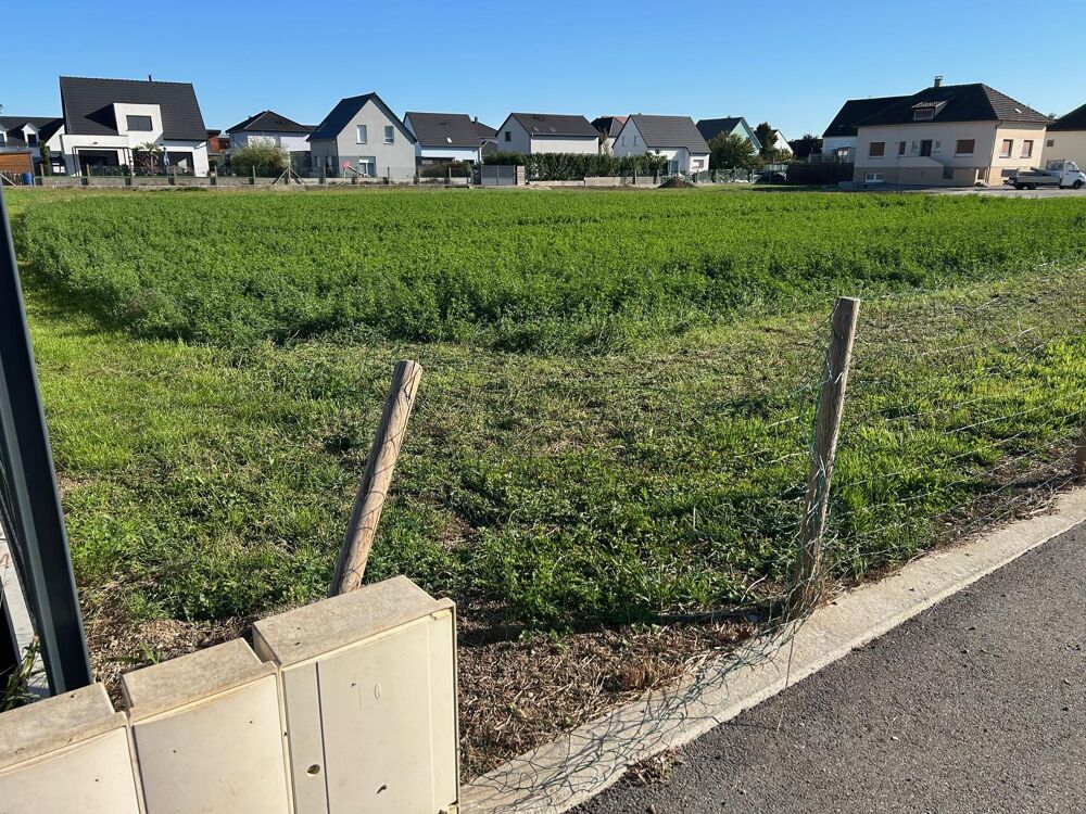 Vente Terrain Terrain constructible Biltzheim