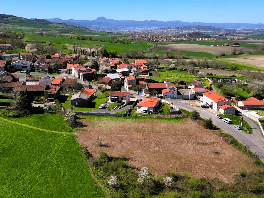 Vente Terrain Terrain constructible Saint-julien-de-coppel