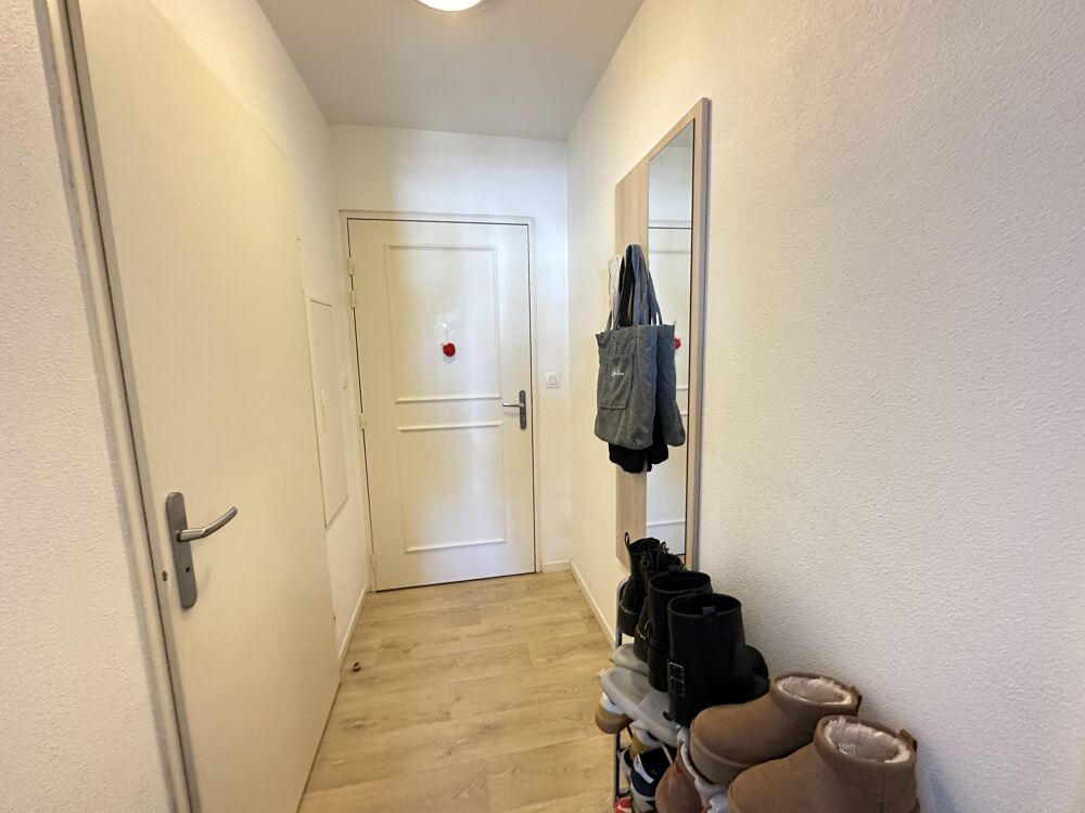 Studio 1 pièce