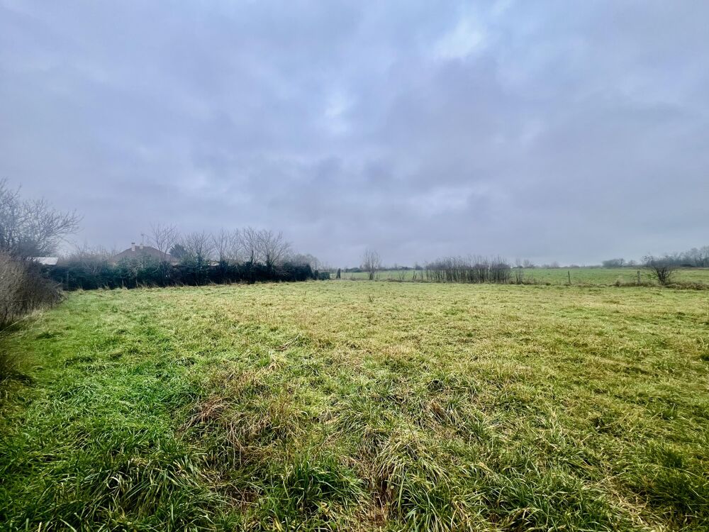 Vente Terrain Terrain Le chautay