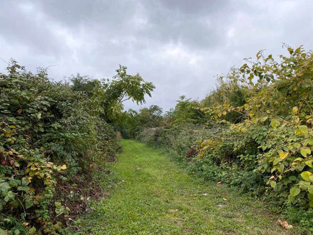 Vente Terrain Terrain Villejuif