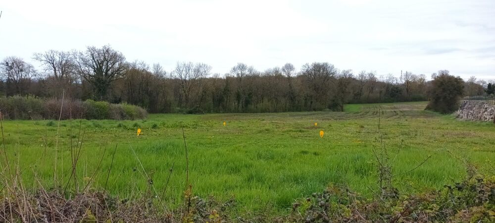 Vente Terrain Terrain constructible Pizay
