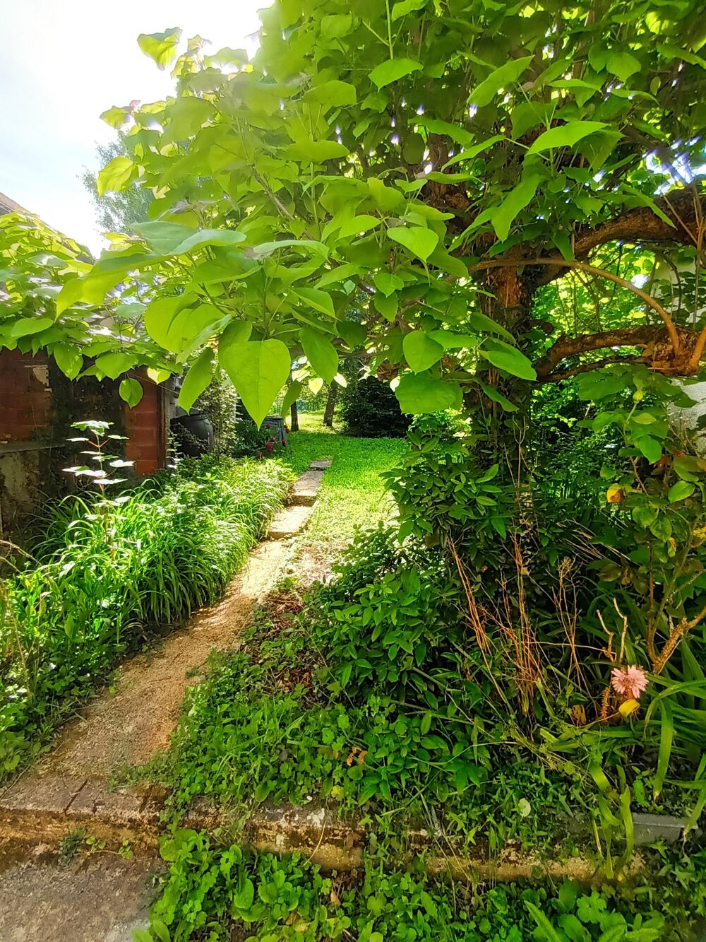 Vente Maison Maison 4 pièces Auxerre