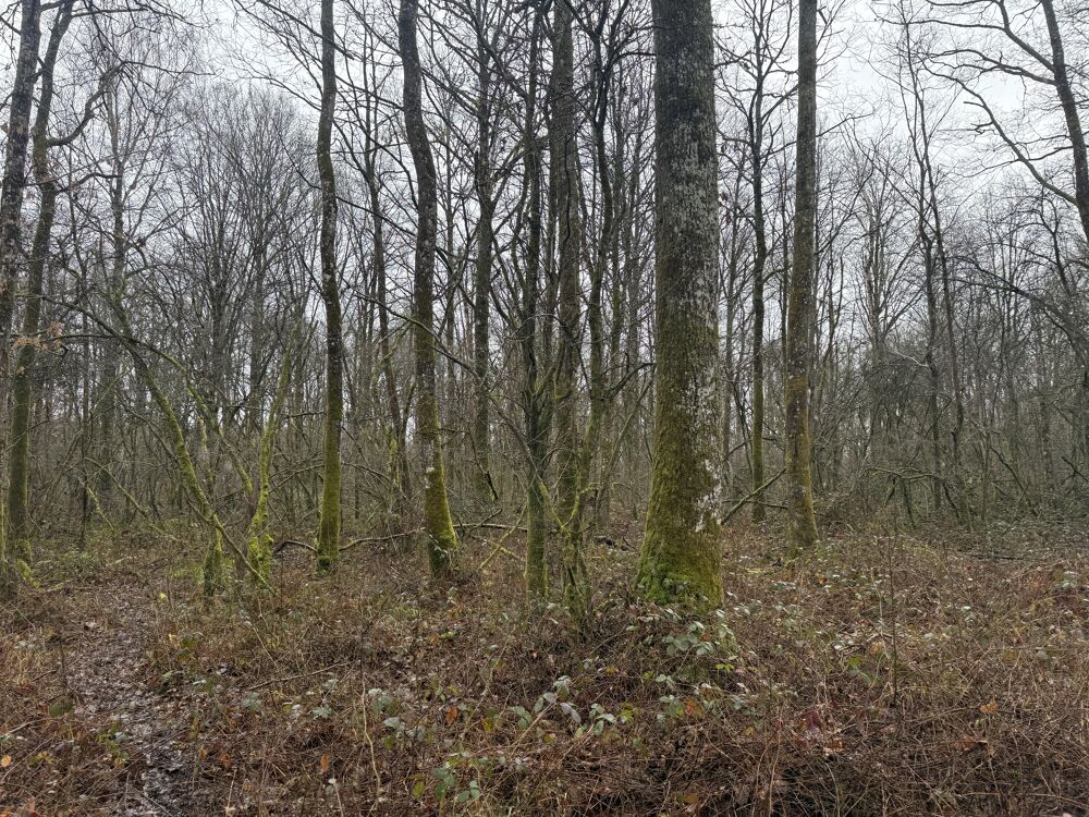 Longère 12 pièces