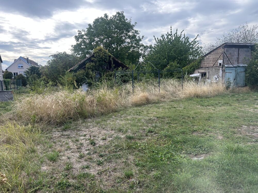 Vente Terrain Terrain constructible Marckolsheim