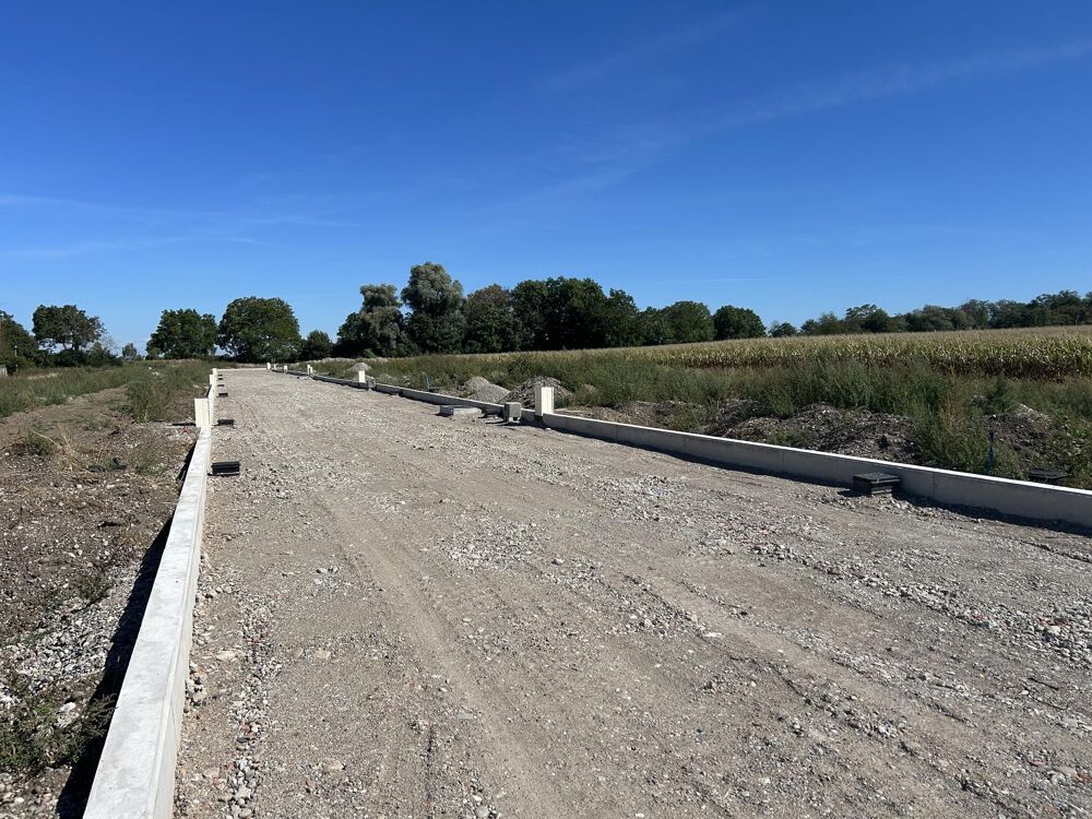 Vente Terrain Terrain constructible Muntzenheim