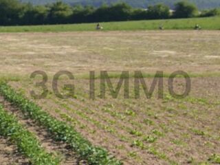  Terrain à vendre 13307 m²