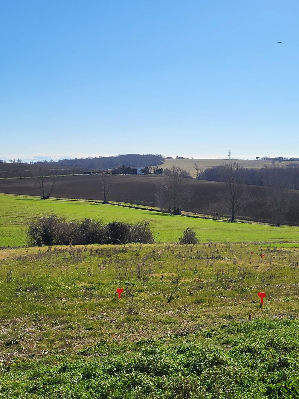 Vente Terrain Terrain constructible Odars