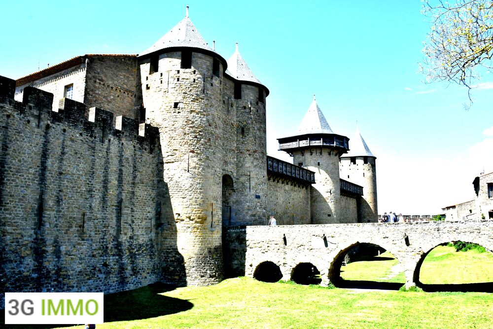   Vente murs pro  à Carcassonne Carcassonne