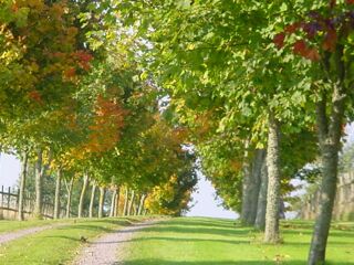  Maison � vendre 6 pi�ces 195 m�