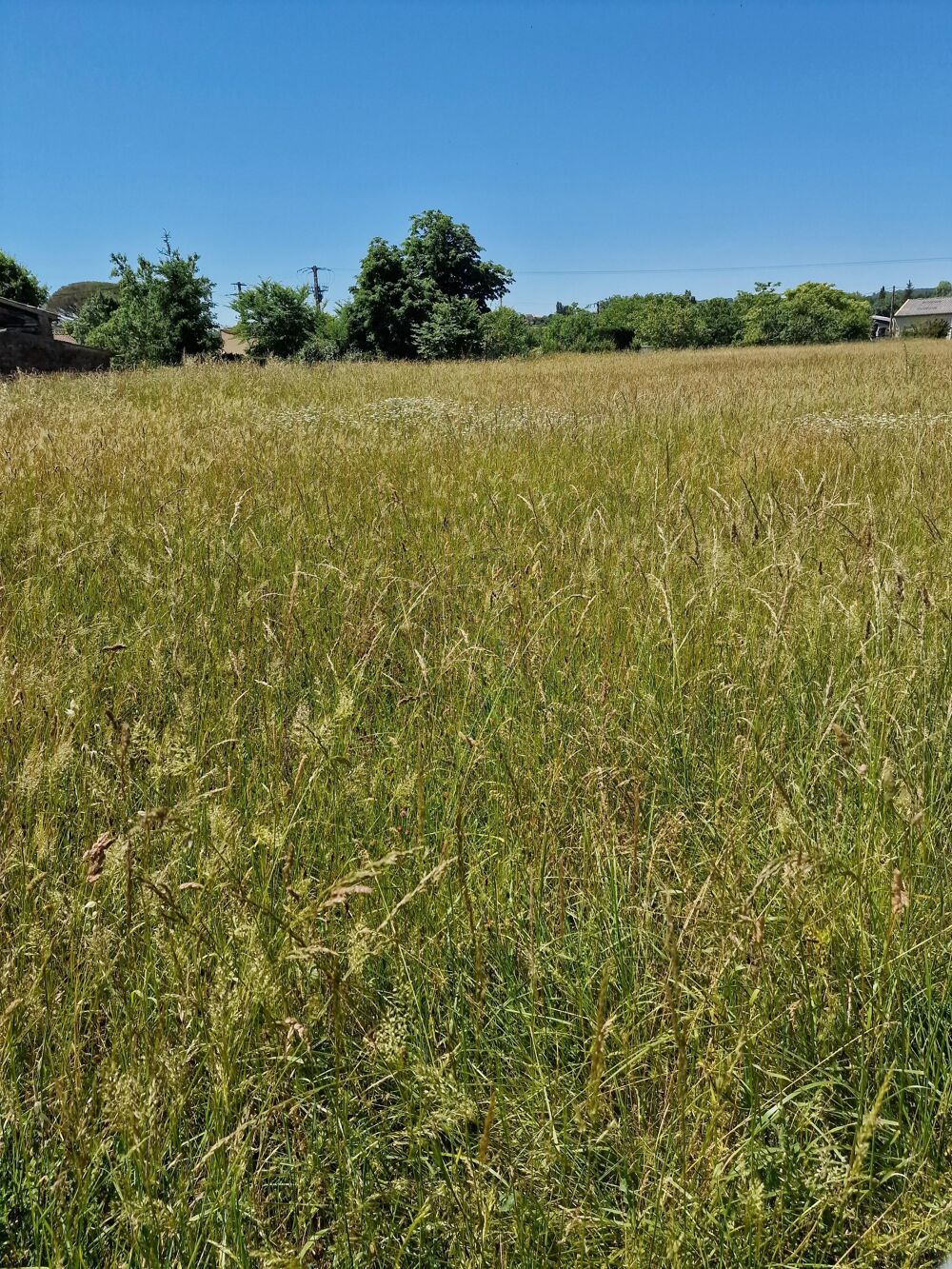 Vente Terrain Terrain constructible Vielmur-sur-agout