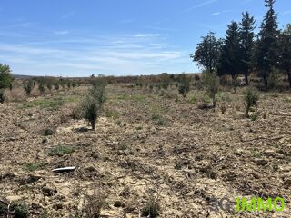  Terrain  vendre 3341 m