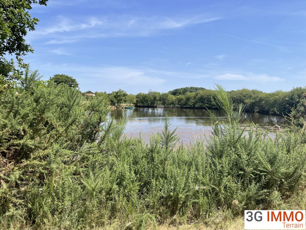 Vente Terrain Terrain Les pineaux