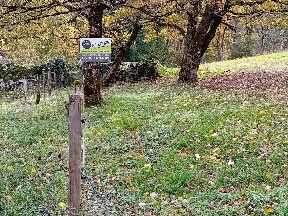 Vente Terrain Terrain constructible Viane