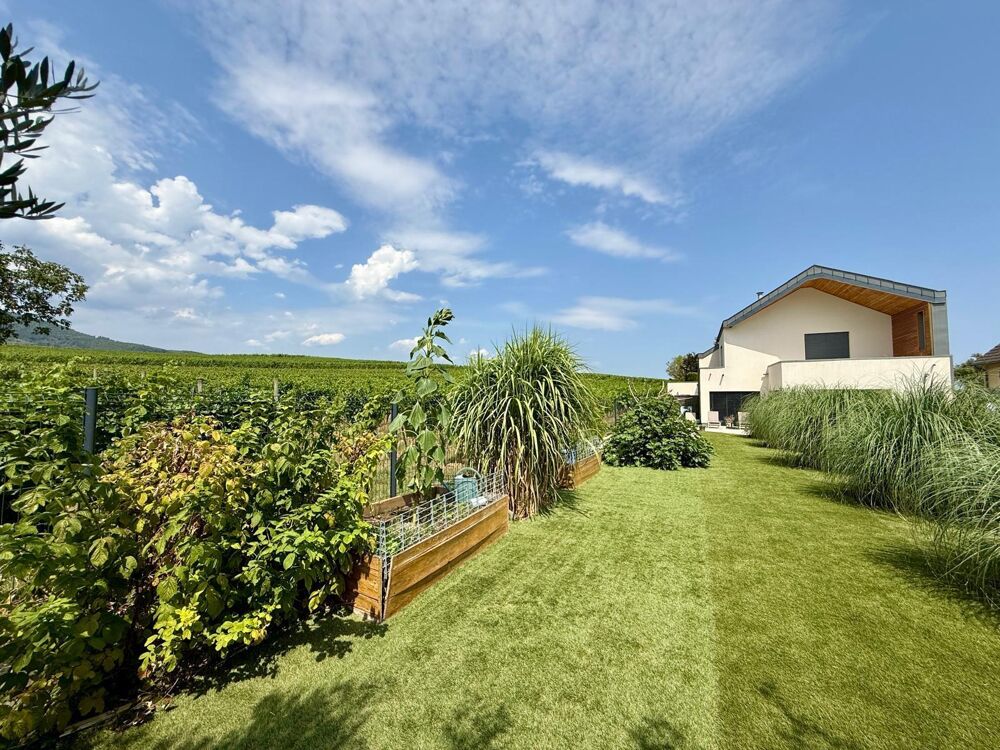 à vendre  Maison Eguisheim (68420)