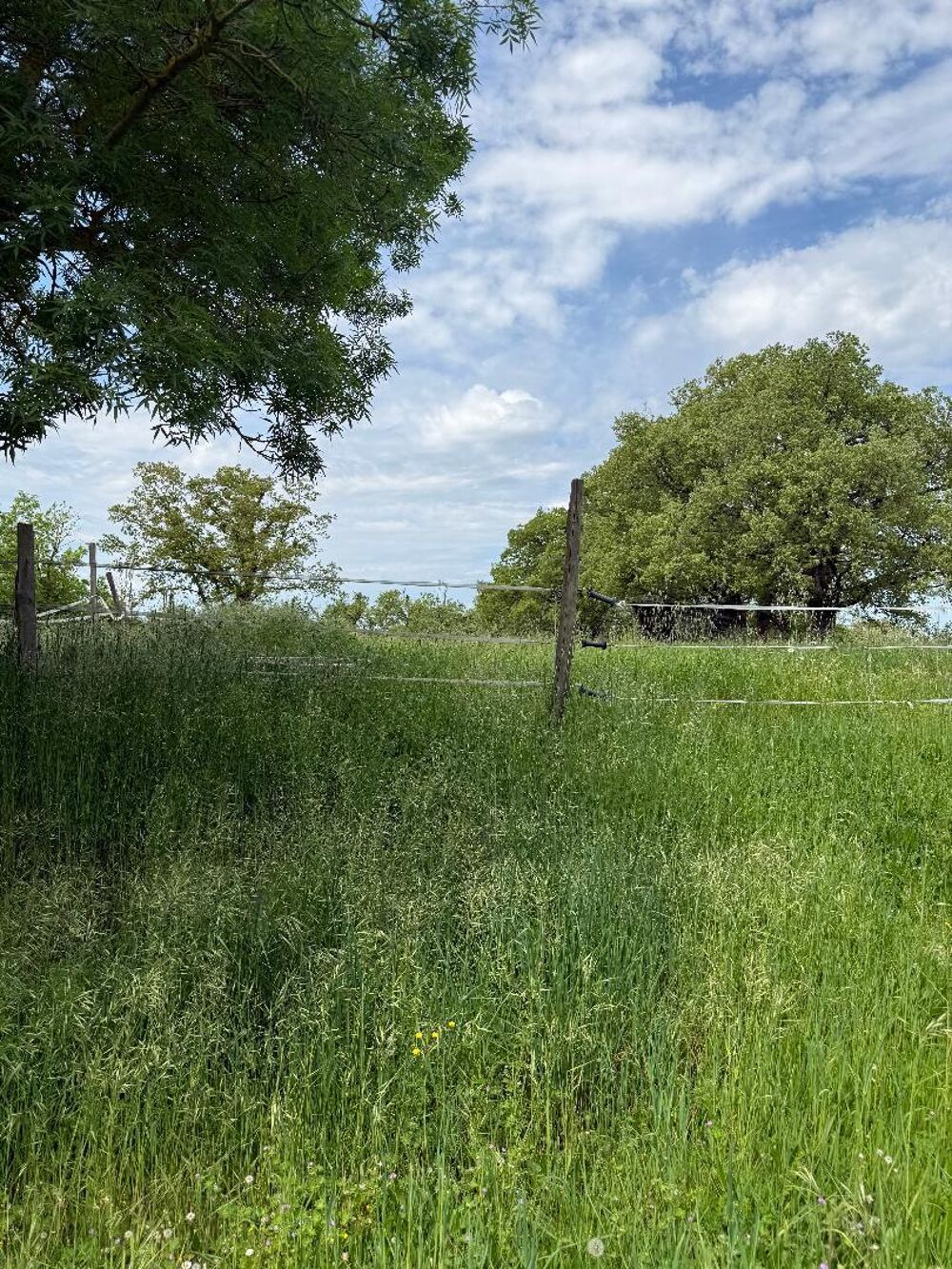 Vente Maison Corps de ferme Lagarde