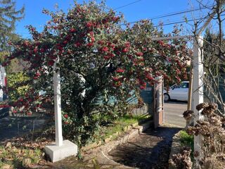  Maison � vendre 6 pi�ces 122 m�