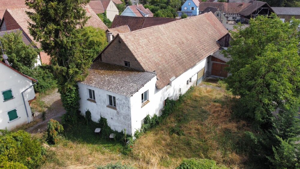 Vente Maison Grange Muntzenheim