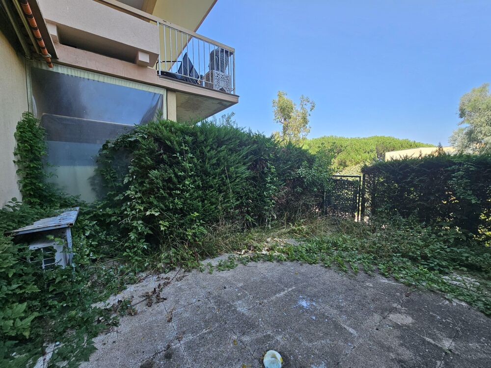 Studio 1 pièce