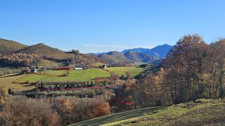  Maison � vendre 14 pi�ces 377 m�