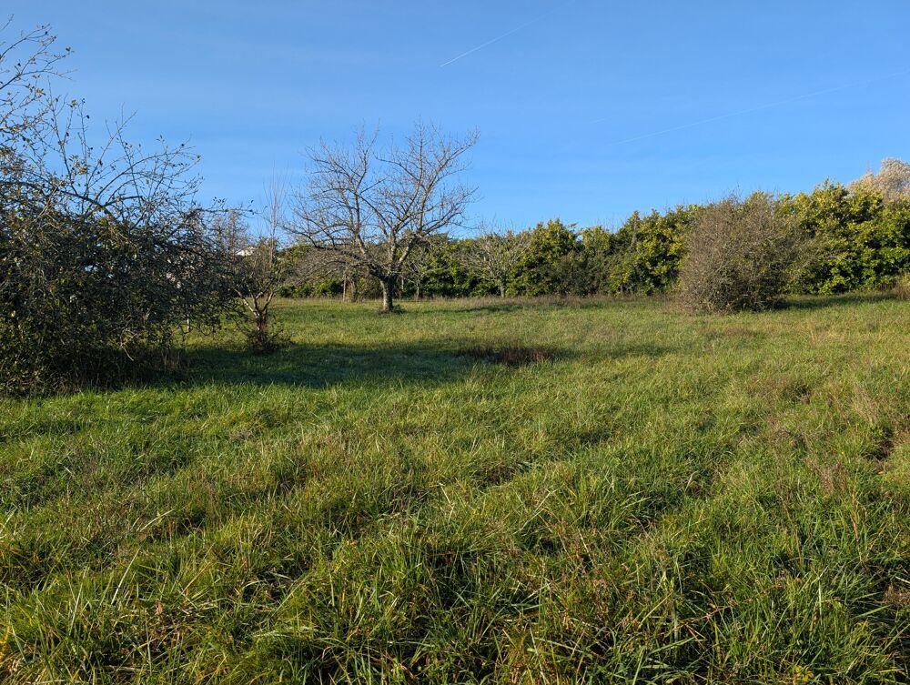 Vente Terrain Terrain constructible Cocumont