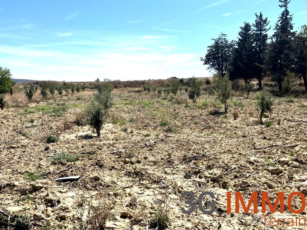 Vente Terrain Terrain agricole Lespignan