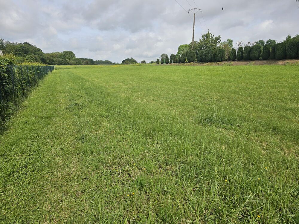Vente Terrain Terrain constructible Grand-verly