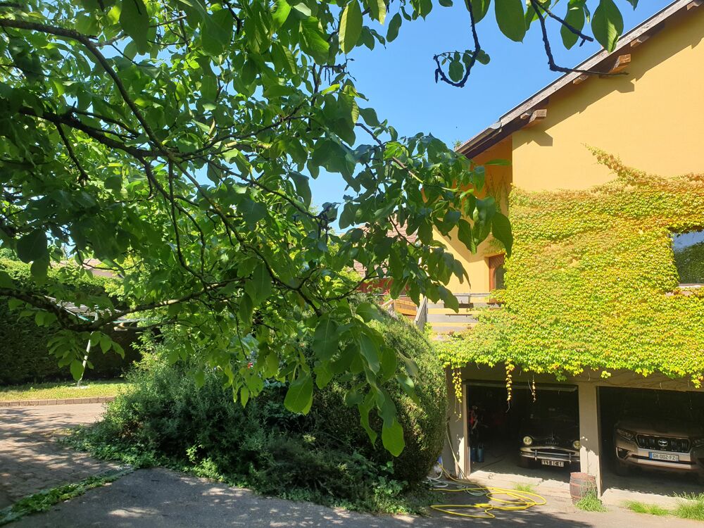  vendre  Maison Buhl (68530)