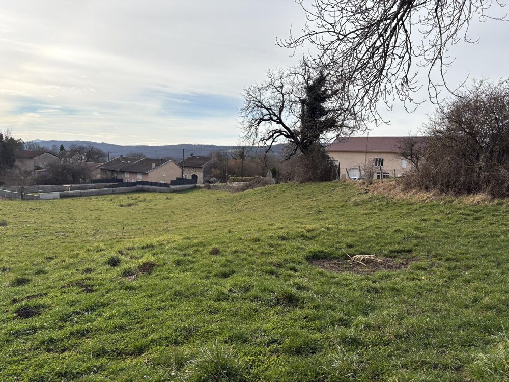 Vente Terrain Terrain constructible Cornod