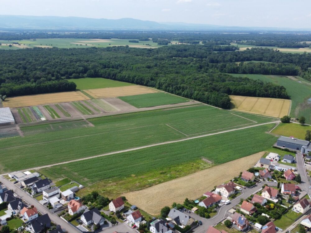 Vente Terrain Terrain Bindernheim