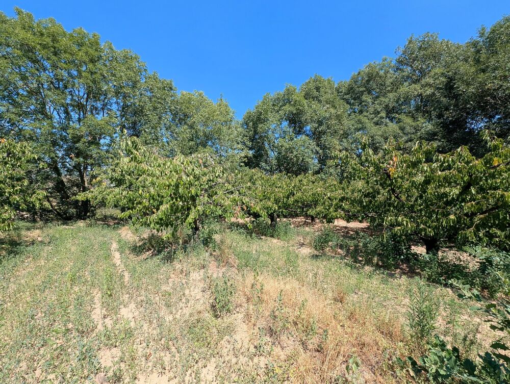 Vente Terrain Terrain constructible Le crestet