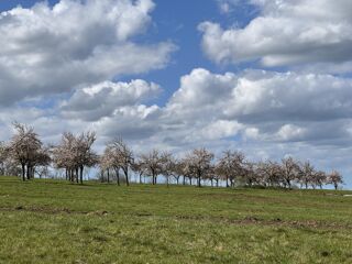  Terrain � vendre 975 m�