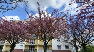  Appartement à vendre 5 pièces 87 m²
