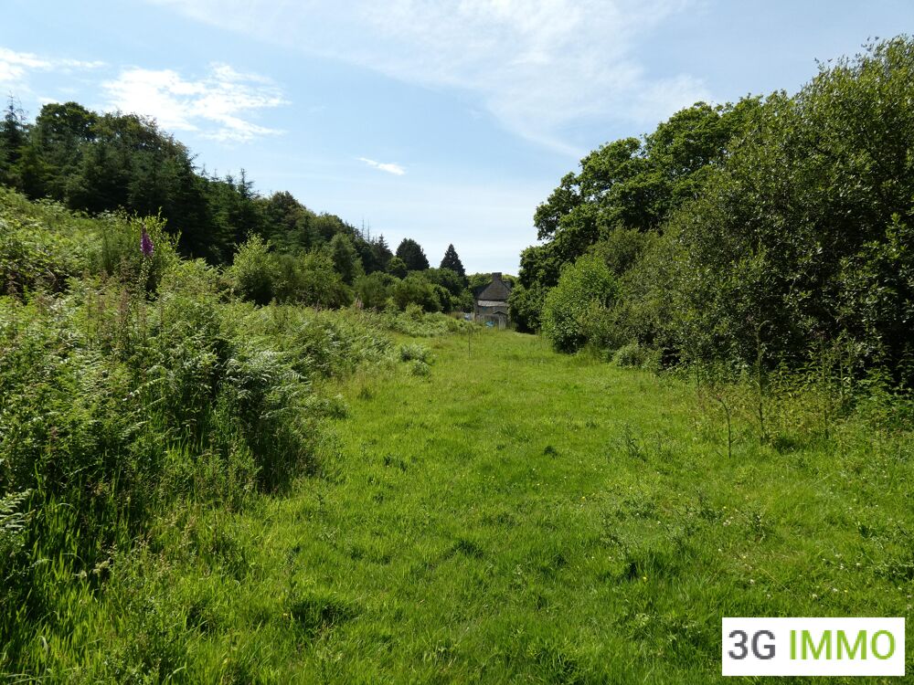 Vente Maison Maison en pierre 4 pièces Loguivy-plougras