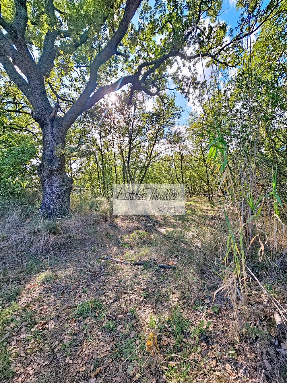 Vente Terrain Terrain agricole Ortaffa