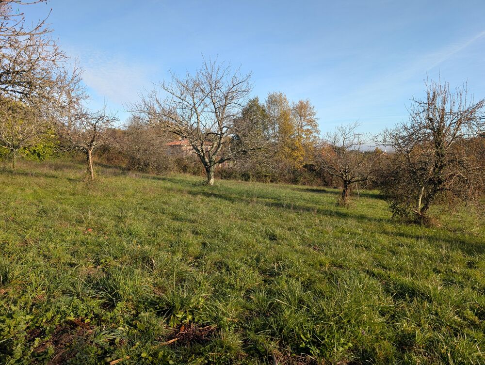 Vente Terrain Terrain constructible Cocumont