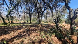  Terrain � vendre 940 m� Uz�s