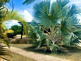  Maison � vendre 4 pi�ces 79 m�