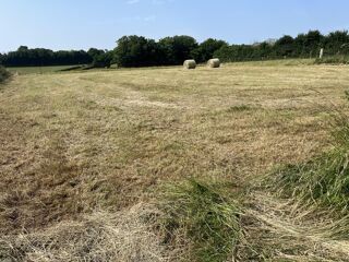  Terrain  vendre 1300 m