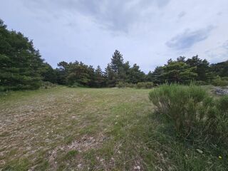 Terrain à vendre 14195 m²