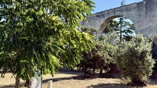 Vente Terrain Terrain constructible Carpentras