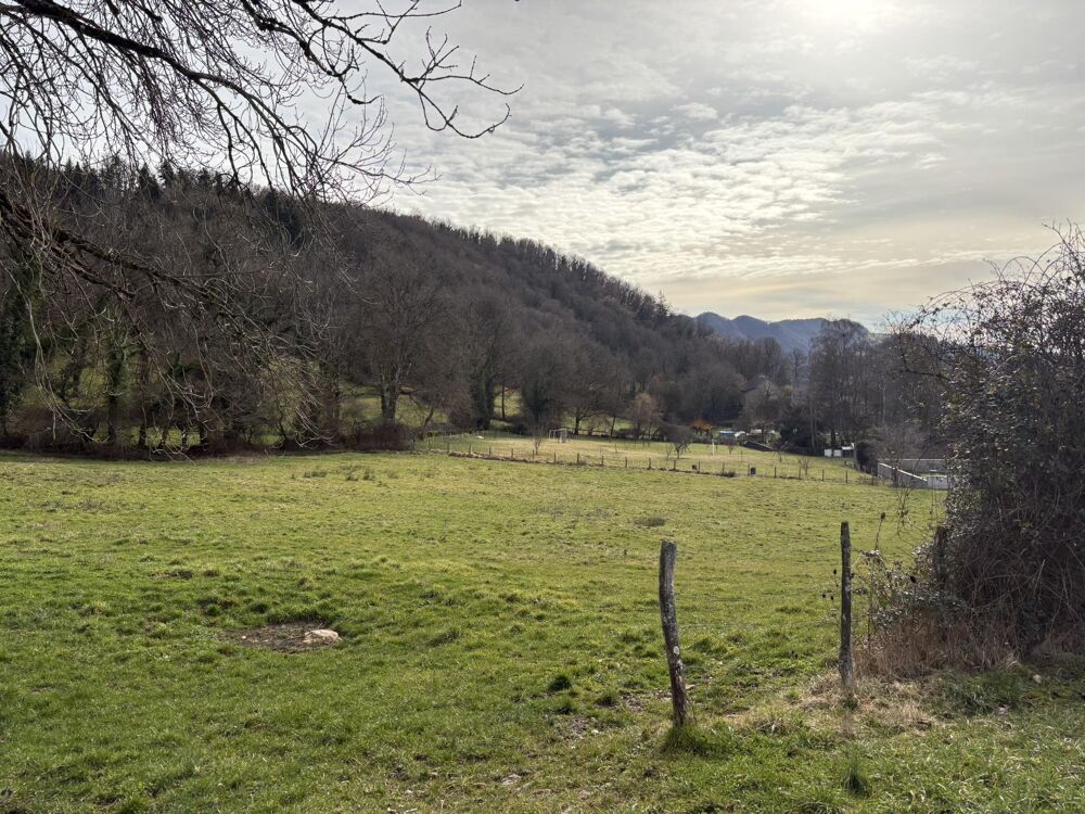 Vente Terrain Terrain constructible Cornod