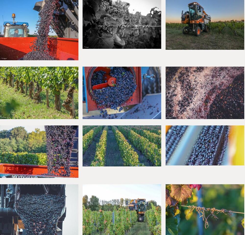 Vente murs pro à Blaye