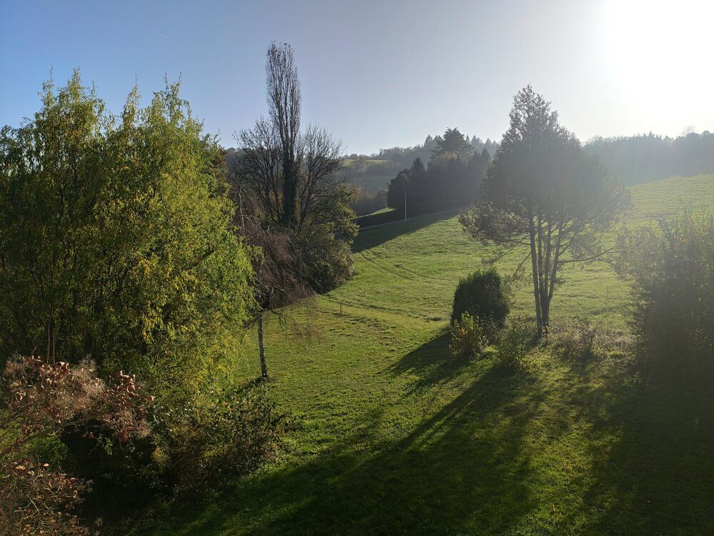 � vendre  Maison M�signy (74330)