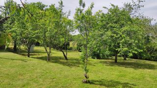  Maison � vendre 8 pi�ces 