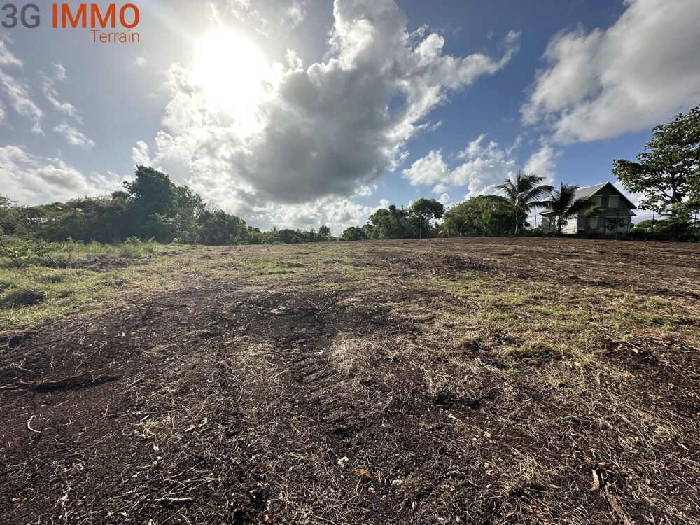 Vente Terrain Terrain constructible Sainte-anne
