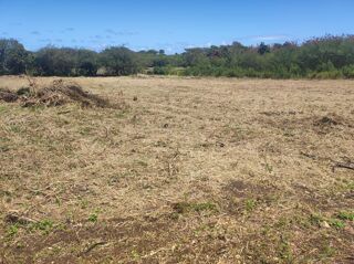  Terrain � vendre 2154 m�