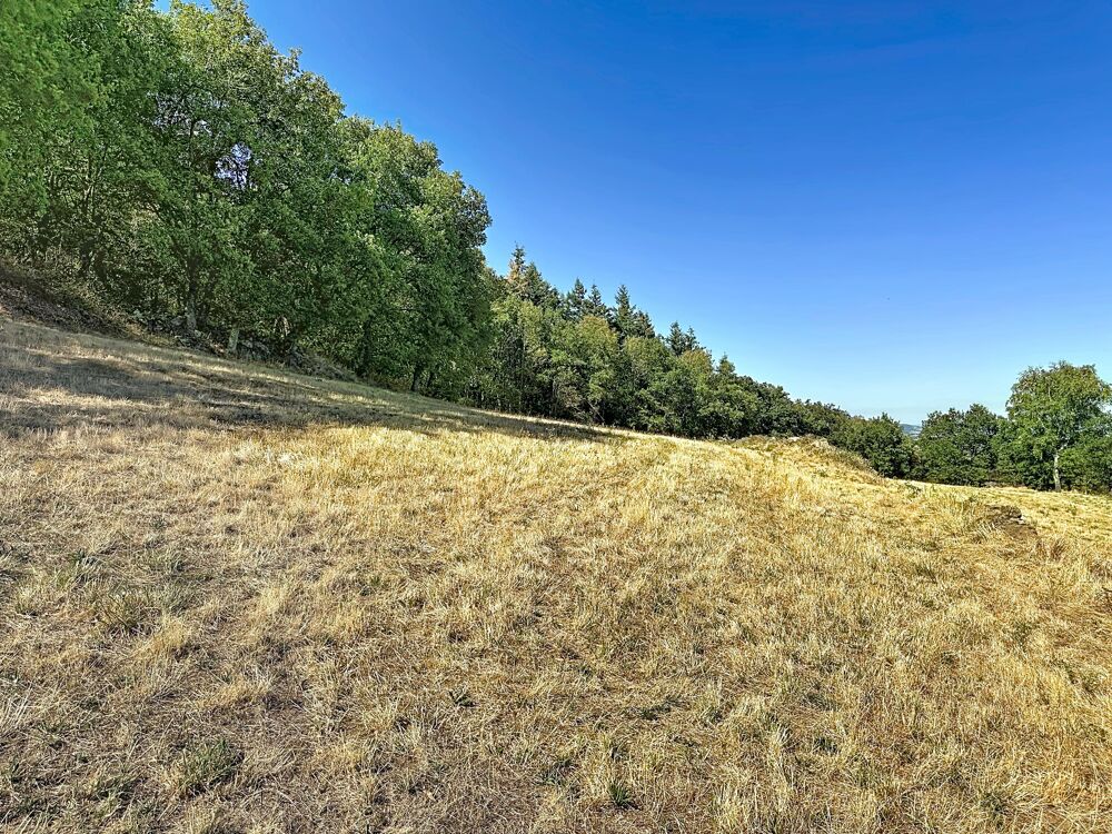 à vendre  Maison Roisey (42520)