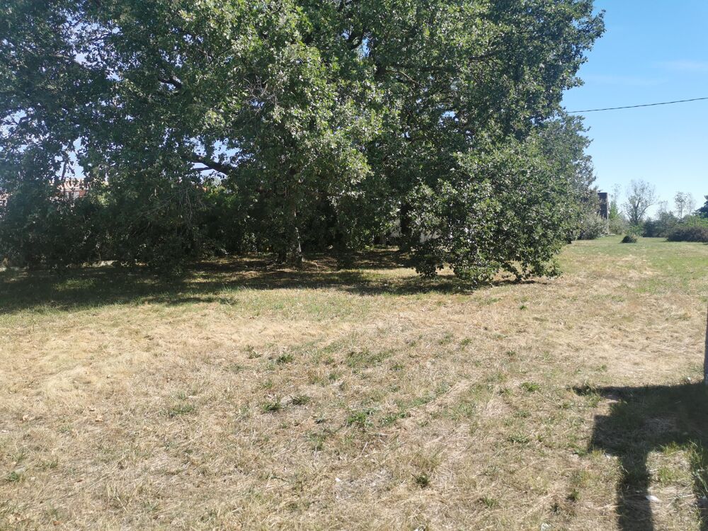 Vente Terrain Terrain constructible Aussonne
