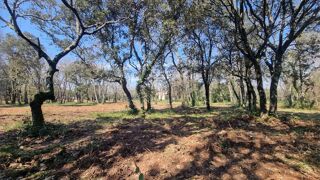  Terrain � vendre 940 m�